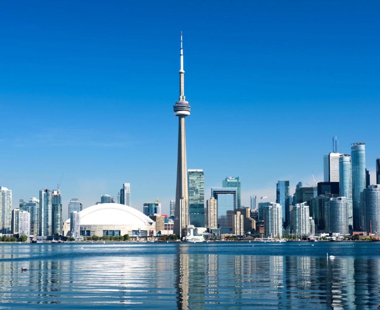 Untitled design (20)